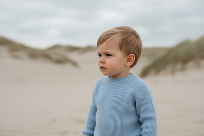 Babysweater Hellblau Lifestyle - Junge vollständig