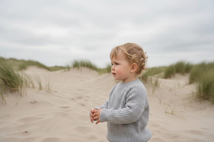 Babysweater Hellgrau meliert Lifestyle - Junge